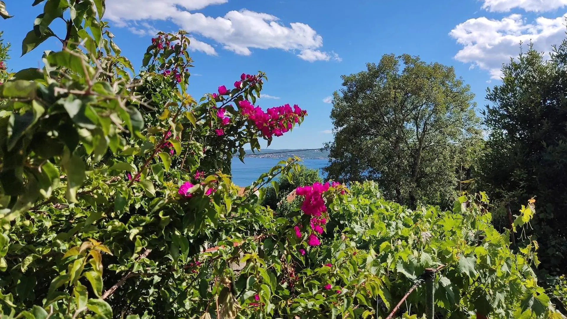 Apartments Garden-Sea View With Terrace Dramalj
